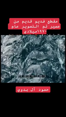فديو قديم لعسير عام ١٩٧٠ ميلادي#عسير_الهول #اعادة_نشر🔁 #ترندات_تيك_توك_جديدة #قديمك_نديمك #ذكرى 