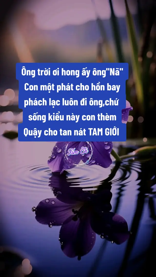 #tâmtrang #Tím_Ơi #2026 