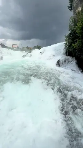 Rhine falls… just magnificent  #switzerland #waterfall #fyp #explore #holiday 
