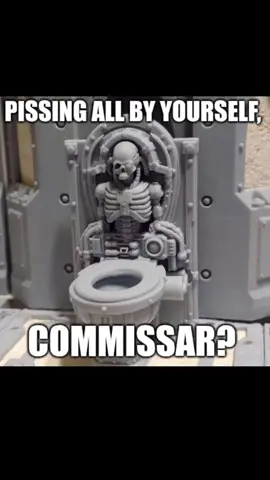 Reliquary toilet/porcelain  throne ##voiceover##warhammercommunity##wh40kmemes##warhammer40kmeme##imperialguard40k