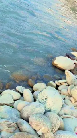Swat🏕️ Nan beya da sin pa ghara 
