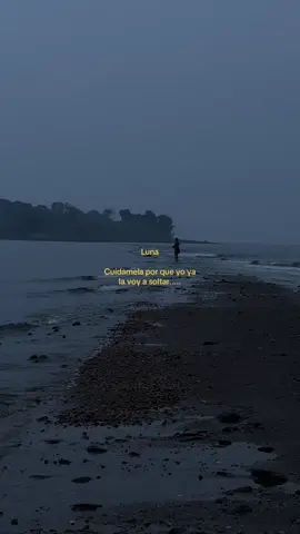 #luna #fypシ゚viral #parati #reels 