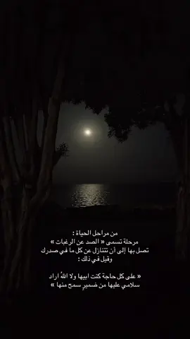 #اكسبلورexplore #اكسبلور #هواجيس #اكسبلورexplore 