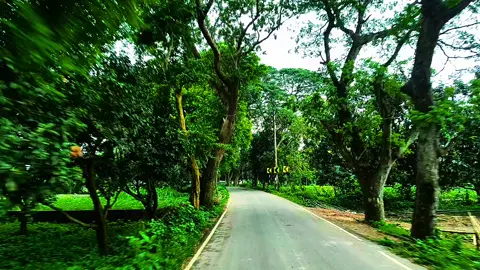 Morning Ride🥰