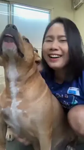 #doglovers #foryou #foryoupage #videoviral #unfreezemyaccount 