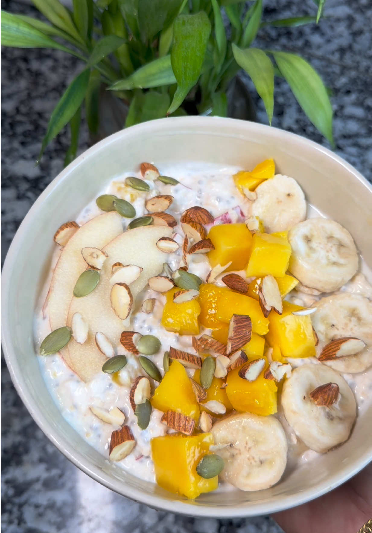 Easy, Quick and Healthy breakfast Recipe #oatsrecipe #nepalifood #nepalirecipe #oats #homecooking
