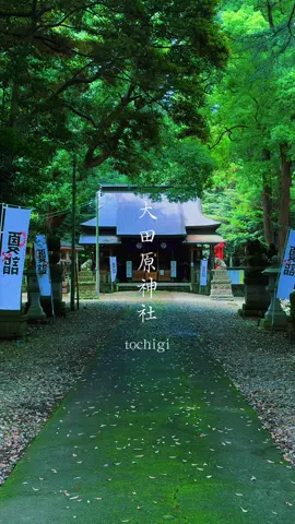 栃木県大田原市鎮座 大田原神社 宇賀神 昨日は稲荷のご縁日でしたので大好きなお稲荷さんにお参りしました🥰🙏 いつもお助け頂いている、僕のパワースポット🐉🦊 ここの稲荷様の御神徳は強力🙏 お参り後は必ず🫰 #神社巡り #パワースポット #栃木県 #大田原市 #CapCut 
