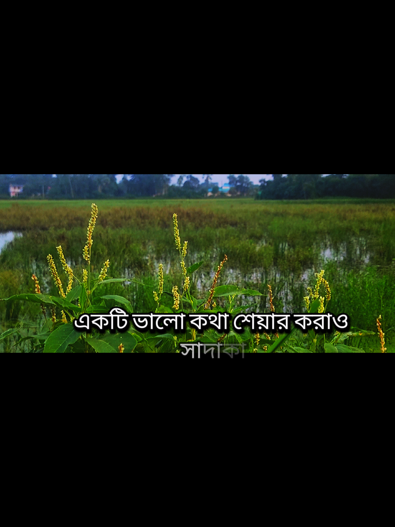 আসুন কিছু ইসলামিক প্রশ্নের উত্তর জেনে নেই.... #viral #foryou #viraltiktok #foryoupage❤️❤️ #ইসলামিক_ভিডিও @TikTok Bangladesh @For You House ⍟ @For You 