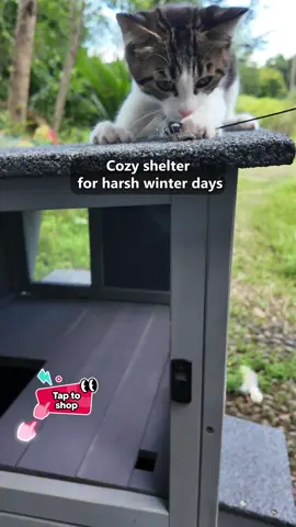 lurry, deal ends soon! Grab it for your cat before it's gone! DealsForYoudays #catio #aivituvin #Summerwins #outdoorcat 