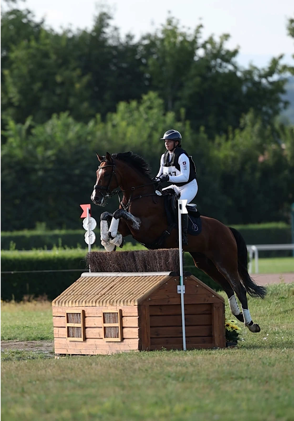 SWISS CHAMPION YR 2026 🇨🇭🏆 This horse is a SUPERSTAR!!! 📹 MV Fotografie  #eventing #horsesoftiktoktok #eventinghorse #crosscountry #equestrian 