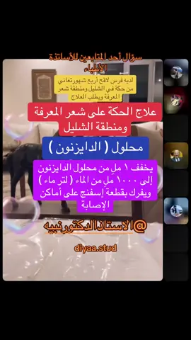 علاج الحكة على شعر المعرفة ومنطقة الشليل #عشاق_الخيل #خيل_وخياله🐎 #مربط_ضياء #دكتور_نبيه  #diya_stud 