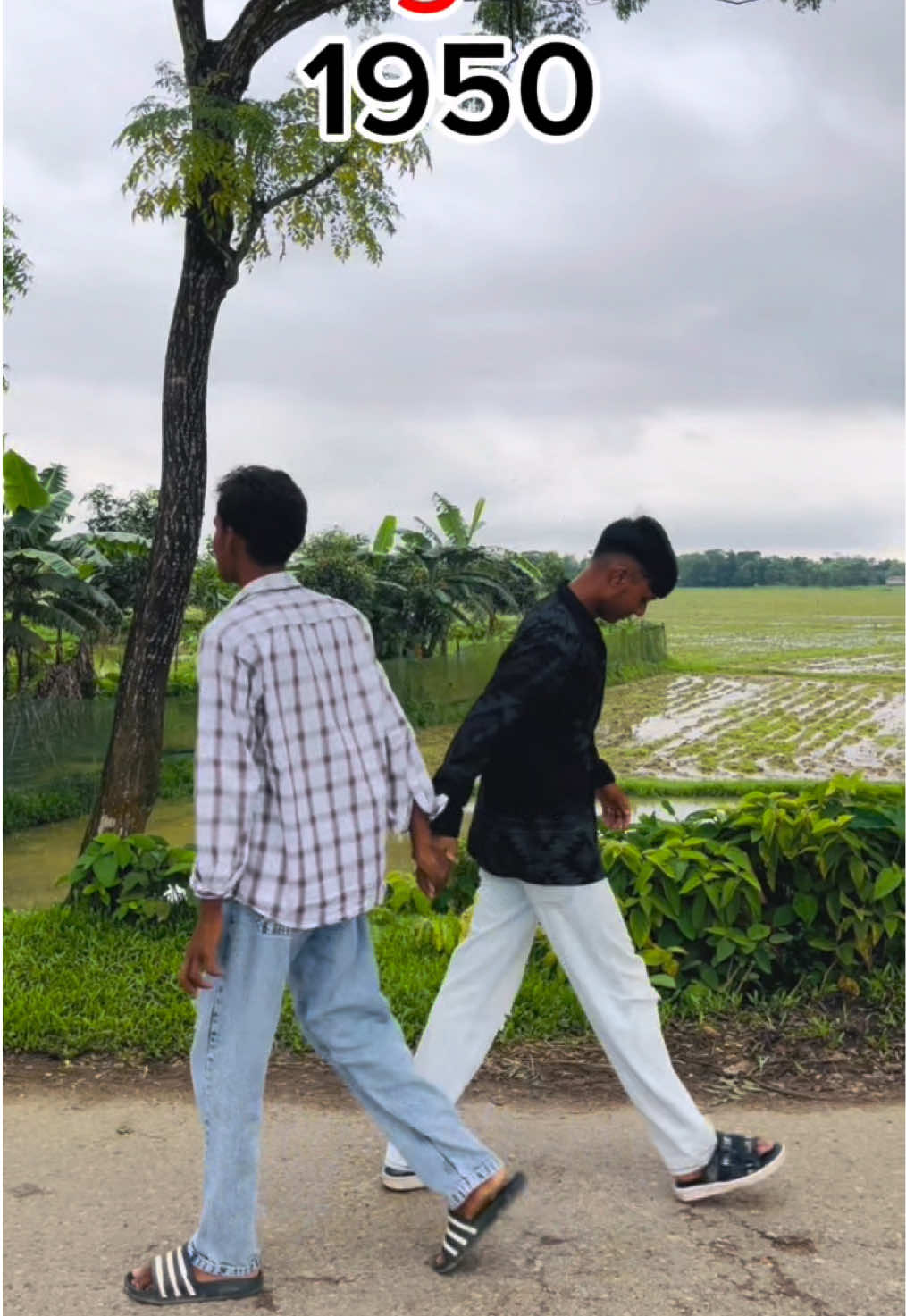 Haw are you -I am fine 🐸#funnyvideos #fypシ #fypシ゚viral #foruyou #viral @TikTok 