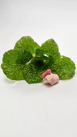 #piggy #enjoyhappy #funnymoments 