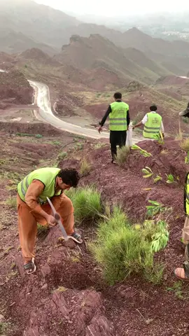 INSHALLAH ❤️ #greenkhyber #nature #greenpakistan #viral #shahzaibafridi 