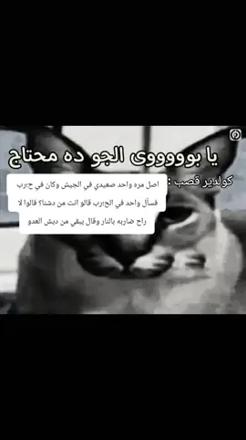 مش قادرررررر #fyp #صعيدي 