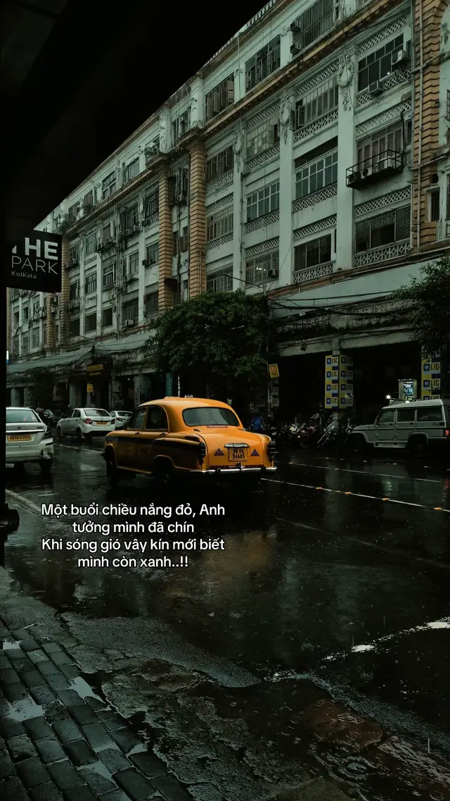 Đừng vì vài ngày yên bình mà tưởng mình mạnh mẽ. Chỉ khi đối diện bão tố, mới biết bản thân còn phải học bao nhiêu. Cuộc đời không đo một người bằng những ngày thuận lợi, mà bằng cách họ bước tiếp khi mọi thứ chống lại mình. Người từng trải không phải là người đi nhiều, mà là người sau mỗi biến cố vẫn giữ được bản tâm và tiếp tục tiến về phía trước. Có những bài học, nắng không dạy được. Chỉ khi gió ngược và bão lớn ập đến, con người mới nhìn rõ giới hạn của chính mình.#xuhuong #lion 