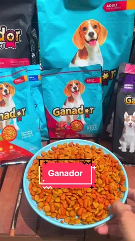1,2kg hạt Ganador.Bình dân nuôi chó.Thức ăn cho chó#manmeo #thucanchomeo #dogsoftiktok #dogfood #ganador 