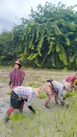 #မသိလိုလားသိလိုလား#
