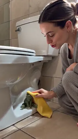 Fun Frog Toilet Seat Buckle, Cute Bathroom Decoration, Easy to Install, Durable Ceramic, Suitable for Home, Apartment, Bathroom Gift #homeaccessories #bathroomtools #bathroommusthave #personalizedhomedecor #cutehomefinds #uniquehomedecor #diybabyshowergift #bidetgoals #3dprintedhomedecor #homegoodsobsessed