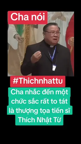 #thichnhattu #thichnhuanduc 