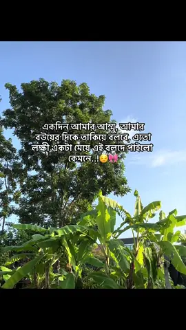 একদিন আমার আম্মু, আমার বউয়ের দিকে তাকিয়ে বলবে, এতো লক্ষী একটা মেয়ে এই বলদে পাইলো কেমনে..!😌🎀 #status #foryoupage #tiktok_trending_video #unfrezzmyaccount #bdtiktokofficial @TikTok @For You @TikTok Bangladesh 
