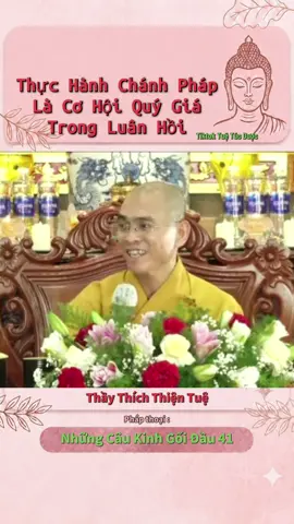 🌸Thực Hành Chánh Pháp Là Điều Quý Giá Trong Vòng Luân Hồi🌸 Thầy Thích Thiện Tuệ giảng 🌿☘️☘️ #thichthientue #buddha #theravada #tuetucduoc #nammobonsuthichcamauniphat 