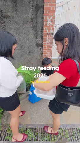 Birthday with a purpose. 🥹 For Brianne's 25th birthday, we decided to celebrate by feeding strays near her place last July 12, 2026. Here’s a little montage of our day! 🐶🐱✨ #strayfeeding #dogs #cats #birthdaywithpurpose #kindnessmatters 