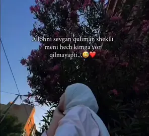 😅🥲🥲😇😇#rekkachiq #trentiktok 