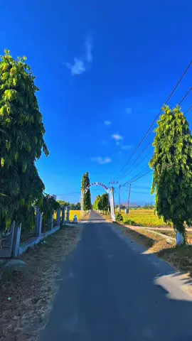ngidul opo jik melu gabel? #lagulawas #tembangkenangan #Ponorogo #ponorogo24jam #ponorogo_kota_reog 