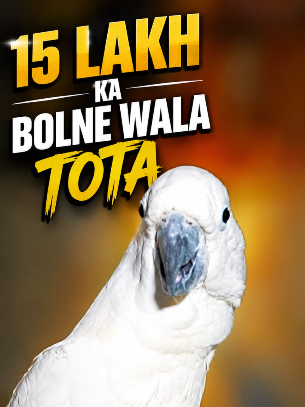 15 LAKH KA BOLNE WALA TOTA 