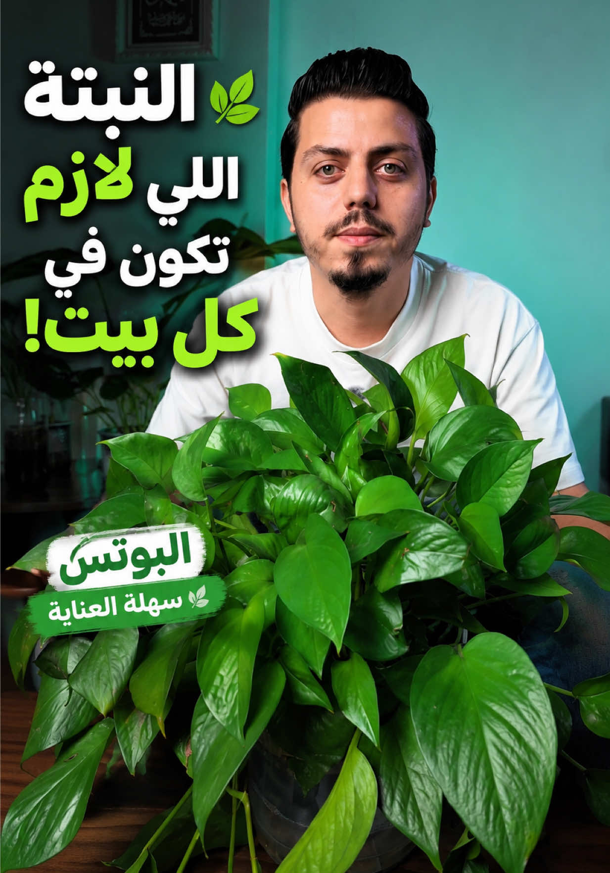 🪴 بالنسبة ليا، البوتس من أفضل النباتات الداخلية اللي ممكن تبدأ بيها. سهلة في العناية، ما تبيش منك اهتمام كبير، وسهلة حتى في الإكثار. والأهم إنها تعطي أي بيت أو مكتب لمسة حياة وجمال. وأنت شن تفضل؟ 🌱 يكون عندك نبات حي… ولا زينة صناعية؟ #الصين  #الشعب_الصيني_ماله_حل😂😂  #نباتات  #بوتس  #ahmedzaghwan 