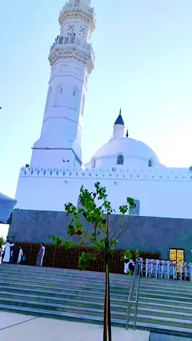 ##مسجد_قباء 