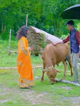 কোরবানি কম্পিটিশন, বাংলা ফানি ভিডিও Part: 2 #tiktokgrowthchallenge #funnydrama #banglanatok #natokclips #comedy #funnyvideo #foryourpages