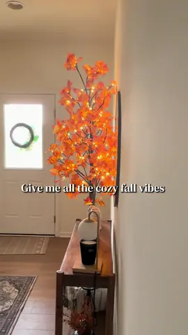 🍁 The easiest way to make your home feel like fall. #FallDecor #MapleTree #CozyHome