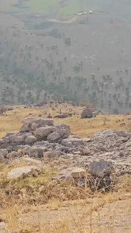 ئیرە سەگرمەیە نەک بلەوو بارزان #سەنگاویم #HAMA #سەگرمە 