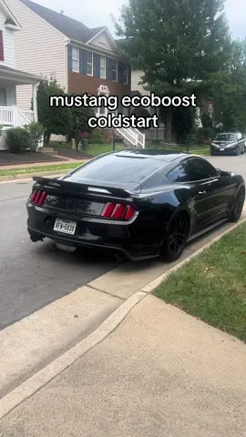 here comes all the ecoboost haters #mustang #carsoftiktok #fyp #cars #viral 