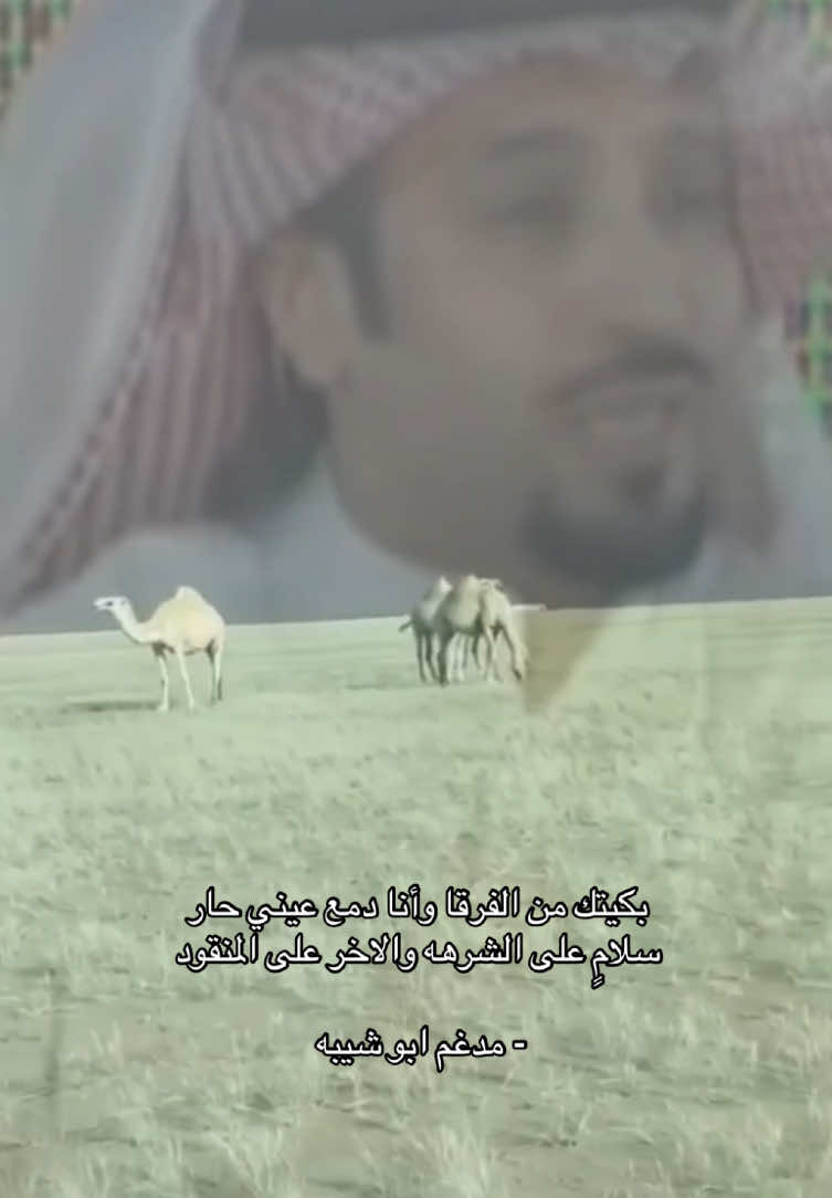 َ #مدغم_ابو_شيبه #اكسبلورexplore #4u 