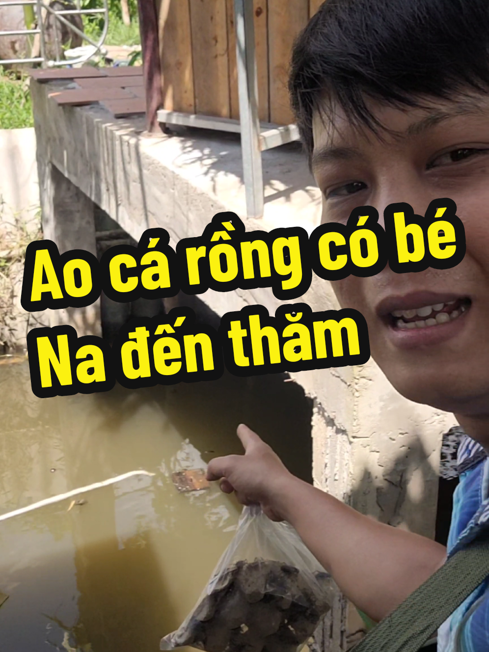 Cách làm ao cá rồng thấy dễ mà mình thất bại#huyetlong #nuoicarong #carongngoaitunhien #caronghuyetlong #carong 