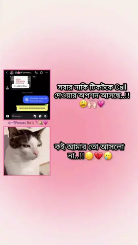 tmader ki asce?😕🤌🏻 #tahiya_promi_33 #fygpシ @For You @TikTok #creatorsearchinsights2026 #vairalvideo #foryoupage 