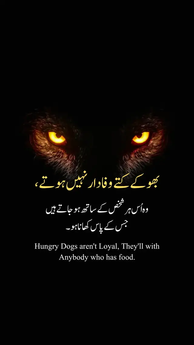 ہر وہ شخص جو آپ کے ساتھ کھڑا ہو، آپ کی وفاداری کا حق دار نہیں ہوتا۔ کچھ لوگ بھوکے کتوں کی طرح ہوتے ہیں؛ اُنہیں کردار، عزت اور وفاداری کی کوئی قدر نہیں ہوتی۔ وہ اُس کے ساتھ ہو لیتے ہیں جو اُنہیں وقتی فائدہ، آسان سہولت یا ایک وقت کا کھانا دے دے۔ اس لیے اپنی قدر اُن لوگوں سے مت ناپیں جو آپ کے ساتھ رہتے ہیں، بلکہ اپنے اصولوں، نظم و ضبط اور خودداری سے پہچانے جائیں۔ حقیقی وفاداری اُس وقت ثابت ہوتی ہے جب حاصل کرنے کے لیے کچھ بھی نہ ہو۔ جھوٹے لوگ بہتر موقع ملتے ہی اپنا راستہ بدل لیتے ہیں۔ اپنے مقصد پر نظر رکھیں، پوری یکسوئی سے ڈٹے رہیں، اور صرف لوگوں کو خوش رکھنے کے لیے اپنے معیار کبھی کم نہ کریں۔ آپ کا مشن وقتی تعلقات اور کھوکھلی تعریف سے کہیں بڑا ہے۔ ایسا مضبوط ذہن بنائیں جسے نہ خریدا جا سکے، نہ بہکایا جا سکے، اور نہ ہی ڈرایا جا سکے۔ ہر دھوکہ ایک سبق ہے، ہر مایوسی ایک نئی طاقت ہے۔ اپنے درد کو قوت بنائیں، اپنی خاموشی کو ہتھیار بنائیں، اور اپنی ناکامیوں کو کامیابی کی سیڑھی بنا دیں۔ مضبوط لوگ وفاداری کی بھیک نہیں مانگتے، بلکہ اپنی شخصیت اتنی باوقار بنا لیتے ہیں کہ منافق لوگ خود ہی بے نقاب ہو جاتے ہیں۔ ہمیشہ مثبت سوچ اور حوصلہ افزائی کو اپنائیں، زندگی میں اچھائی کرتے رہیں چاہے دنیا آپ کے ساتھ انصاف نہ کرے۔ خود بھی دوسروں کے لیے حوصلہ اور ترغیب کا ذریعہ بنیں۔ کبھی ہار نہ ماننے والی سوچ اختیار کریں، ہر صبح نئے عزم کے ساتھ اٹھیں، اور اپنی منزل کے لیے مکمل لگن اور محنت کے ساتھ آگے بڑھتے رہیں۔ اپنے مثبت ذہن اور مضبوط کردار کی حفاظت کریں، کیونکہ غرور اور انا انسان کی سب سے بڑی کمزوری بن سکتے ہیں۔ خوش رہنے والی سوچ پیدا کریں، مثبت خیالات سے اپنے ذہن کو مضبوط کریں، روز کچھ نیا پڑھنے اور سیکھنے کی عادت ڈالیں، اور ہر دن دوسروں میں امید، محبت اور مثبت سوچ پھیلانے کی کوشش کریں۔ اصل طاقت شہرت یا تعریف میں نہیں، بلکہ مستقل مزاجی، کردار، دیانت داری، صبر اور خودداری میں ہے۔ Not everyone who stands beside you deserves your loyalty. Some people are just like hungry dogs—they don't value character, respect, or trust. They'll follow anyone who offers temporary comfort, easy benefits, or a full plate. That's why you should never measure your worth by who stays. Measure it by your principles, discipline, and self-respect. Real loyalty is tested when there's nothing to gain. Fake people change sides the moment a better opportunity appears. Stay focused, stay locked in, and never lower your standards just to keep people around. Your mission is bigger than temporary friendships and shallow approval. Build a mindset that cannot be bought, manipulated, or distracted. Every betrayal is a lesson. Every disappointment is fuel. Turn pain into power, silence into strength, and setbacks into success. Keep moving with intense motivation, because the strongest people don't beg for loyalty—they become so valuable that fake people expose themselves. Choose positivity and motivation over negativity. Keep doing good in life even when others don't deserve it. Let your actions motivate and inspire those who are building themselves. This is your daily reminder to develop a never give up mentality, embrace rise and shine motivation, and live with dedication motivation. Protect your positiveMind, strengthen your positive core, and never allow an ego mentality motivation to destroy your character. Create a happiness mindset, feed your mind with motivation quotes positive mindset, and make motivation to read and learn part of your daily routine. Discover ways to spread positivity daily, become your own MotivationForMindset, and remember that real strength comes from consistency, not attention. Whether you seek daily motivation for women, good vibes motivation, Motivation, Motivationspeech, or even Christ motivation, the foundation remains the same: discipline, integrity, resilience, and self-respect. If this message speaks to your soul, don't scroll away. Like ❤️, Comment 💬, Share 📲, and follow for more content that builds stronger minds, fearless hearts, and an unstoppable mentality. Your future is shaped by the mindset you choose today. #attitudeboy #DeepQuotes #trendingviralvideos #foryoupageofficiall #fyp 