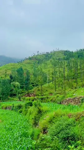 Aw pa lawaro goro baran warege no 🌧️🌨️☂️🫀 #dirviews #songs #100kfollowers #viralvideo #foryoupage❤️❤️ 