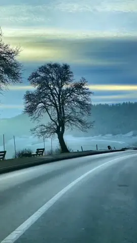 #langnhac 