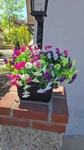 🌿 Dale vida a tu entrada La Hoodink Solar Post Light combina una maceta integrada con una lámpara solar, ideal para decorar el porche, jardín, patio o la entrada de tu casa sin necesidad de cables. #SolarLight #OutdoorDecor #GardenDecor #HomeStyle #TikTokShopCreatorPicks