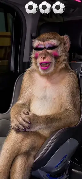 POV: When Two Besties Met 😂🐵🐱, Two Besties Start Singing 😂🎤Car Turns Into a Karaoke Stage 🚗🎶 🤣🤣