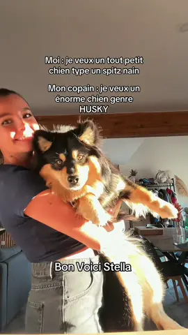 20 kg d’amour ❤️☺️🐕🐾 #finnoisdelaponiepuppy #finnishlapund #dogtok #dogmoms 🐣
