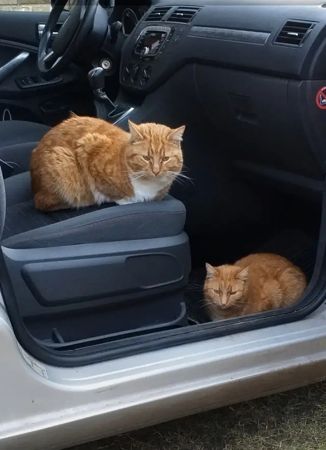Söckchen und Mama Fritzi ❤️