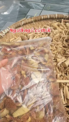 #tieudem #duoclieutaybac #duoclieutaybac #onguongbakhen #xuhuong 