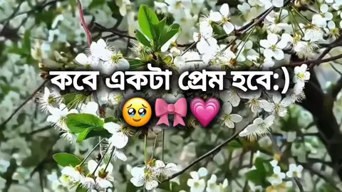 -🥹🎀💗 #foryou #foryoupage #trending #tiktokofficialbangladesh #i_am_again_back 