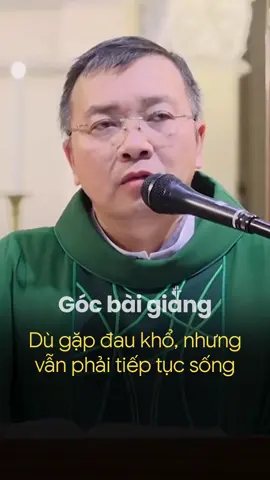 Dù đau khổ nhưng vẫn phải tiếp tục sống | Lm JB Phương Đình Toại #gocbaigiang #chatoaigiang #baigiang #phuongdinhtoai