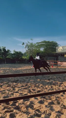 Buổi chiều ở Cavallo Equestrian VietNam , Nhị Bình Hóc Môn #cavalloequestrianvietnam #horseride #training #fyp